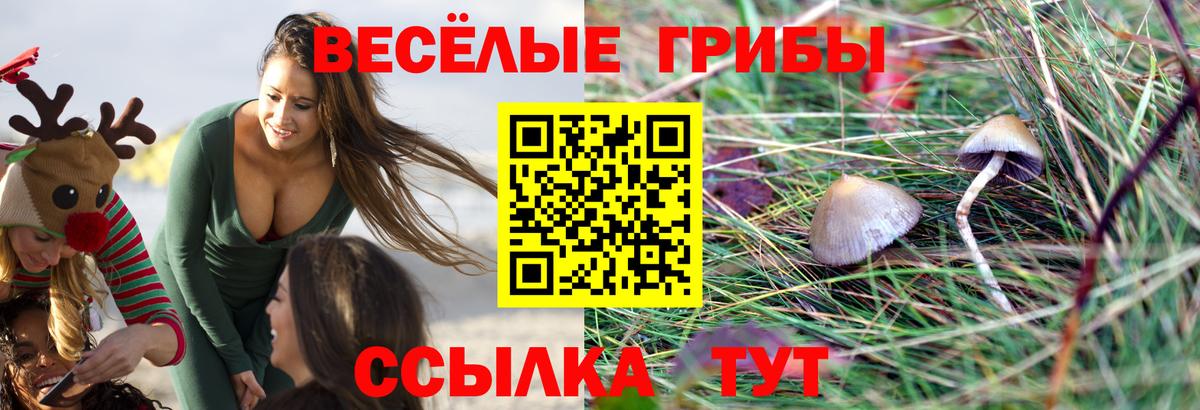 Галлюциногенные грибы ЛСД  Вход с VPN  Ульяновск 